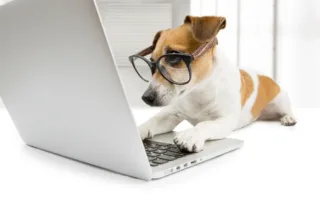 Waterbury Cyber Insurance