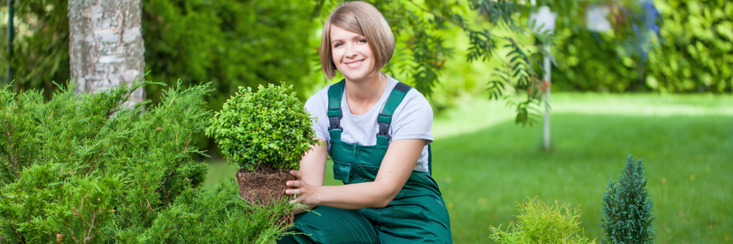 Landscaping Insurance Vermont