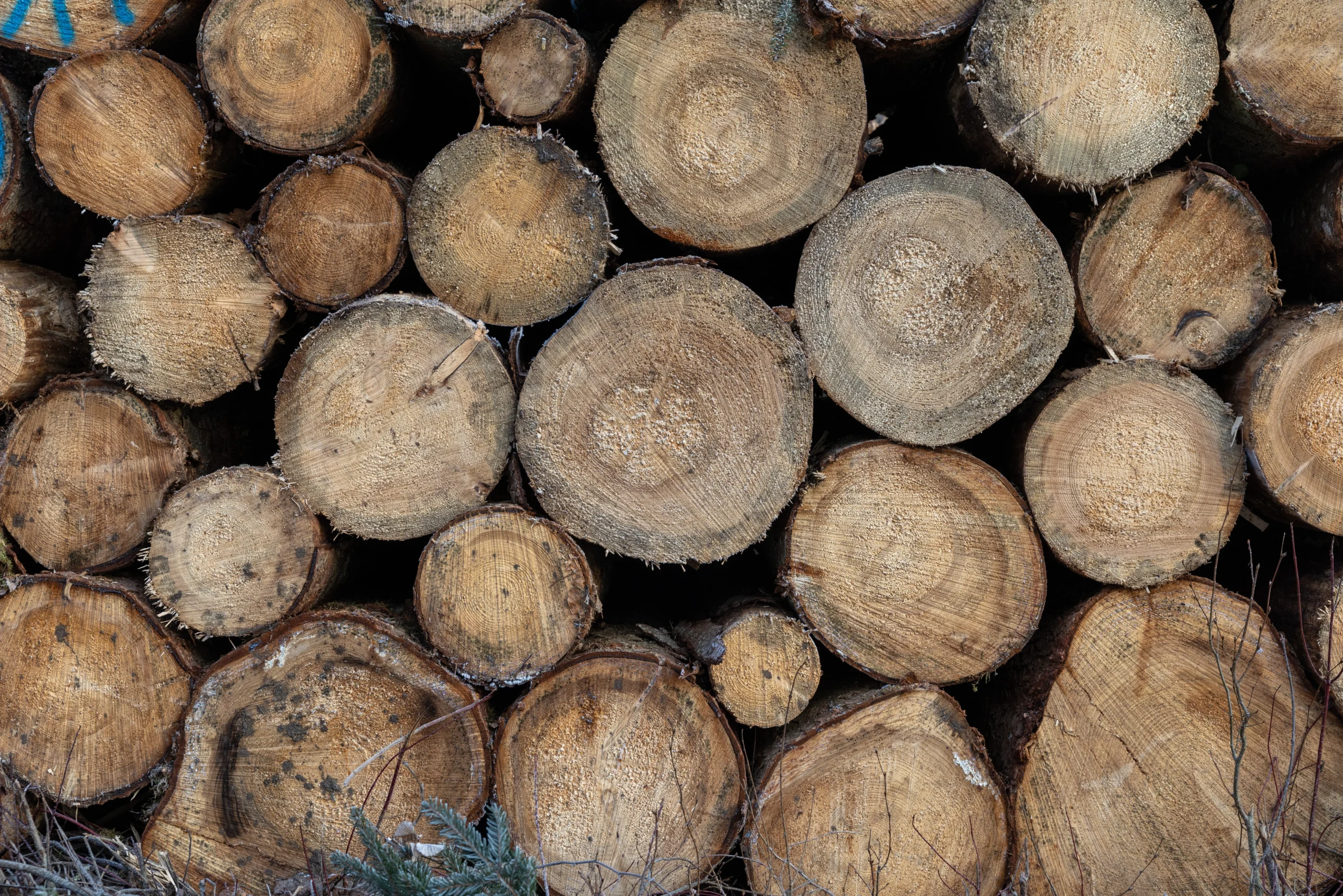 Lumber Insurance Vermont